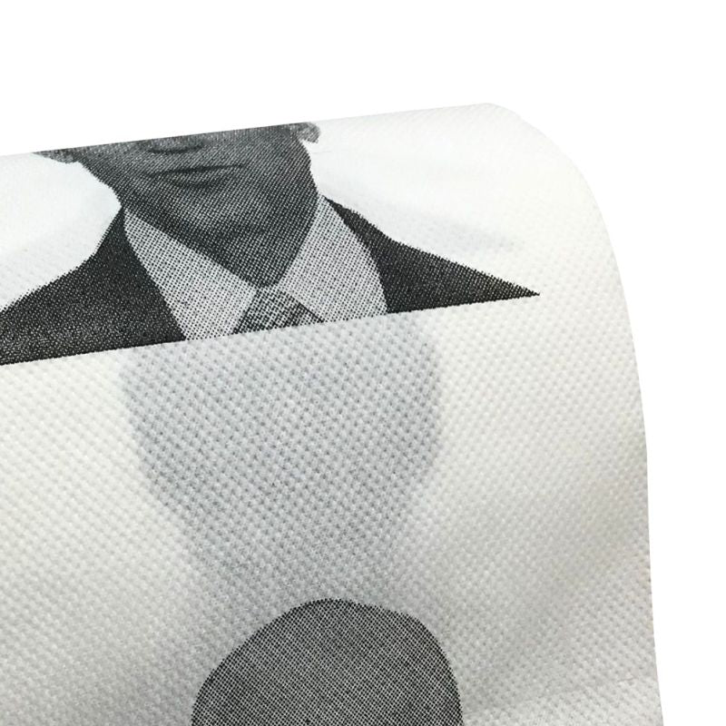 Joe Biden Toilet Paper Roll | Funny Novelty President Bathroom Paper 250 Sheets 2 Ply