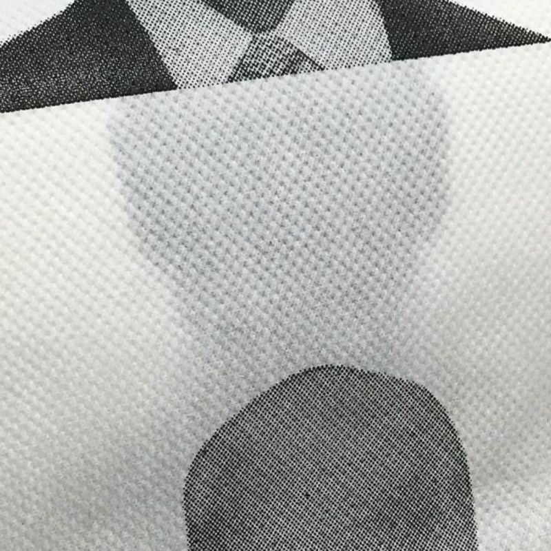 Joe Biden Toilet Paper Roll | Funny Novelty President Bathroom Paper 250 Sheets 2 Ply