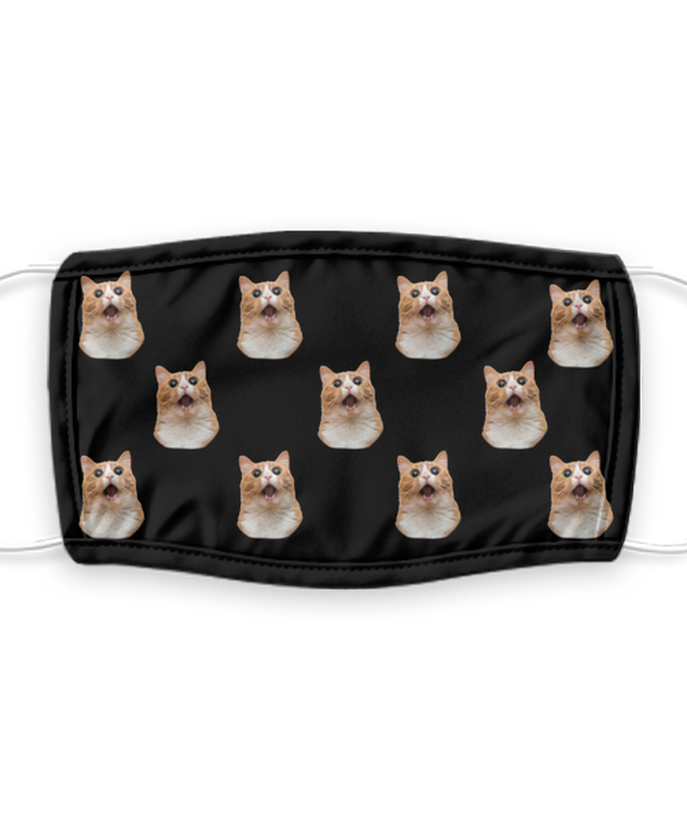 Cat Face Mask Reusable - Reusable, Washable w/ Filter - 7 Layers Germ Protection