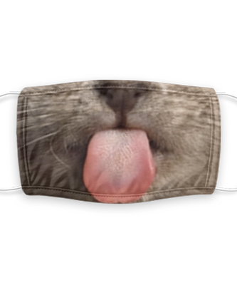 Cat Face Mask Reusable - Reusable, Washable w/ Filter - 7 Layers Germ Protection
