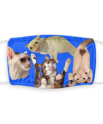 Cat Face Mask Reusable - Reusable, Washable w/ Filter - 7 Layers Germ Protection