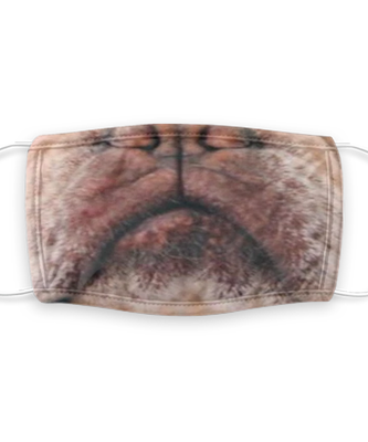 Dog Print Face Mask - Reusable, Washable w/ Filter - 7 Layers Germ Protection