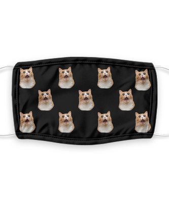 Cat Face Mask Reusable - Reusable, Washable w/ Filter - 7 Layers Germ Protection