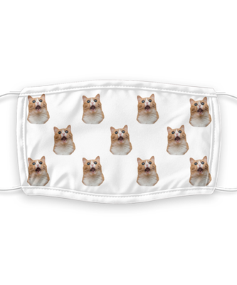 Cat Face Mask Reusable - Reusable, Washable w/ Filter - 7 Layers Germ Protection