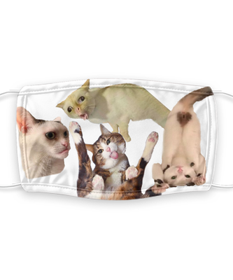 Cat Face Mask Reusable - Reusable, Washable w/ Filter - 7 Layers Germ Protection