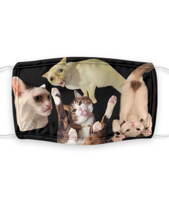 Cat Face Mask Reusable - Reusable, Washable w/ Filter - 7 Layers Germ Protection