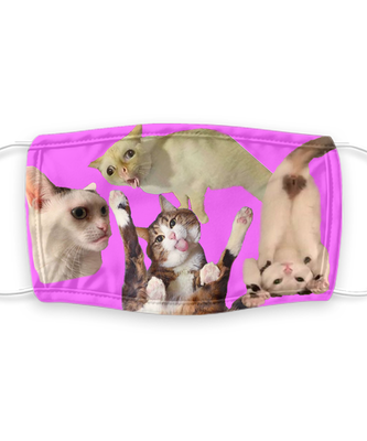 Cat Face Mask Reusable - Reusable, Washable w/ Filter - 7 Layers Germ Protection