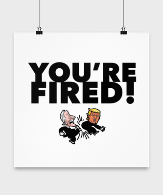 Funny Joe Biden Poster 16