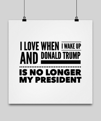 Funny Joe Biden Poster 16