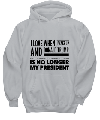 Funny Joe Biden Hoodie Ash Gray - 